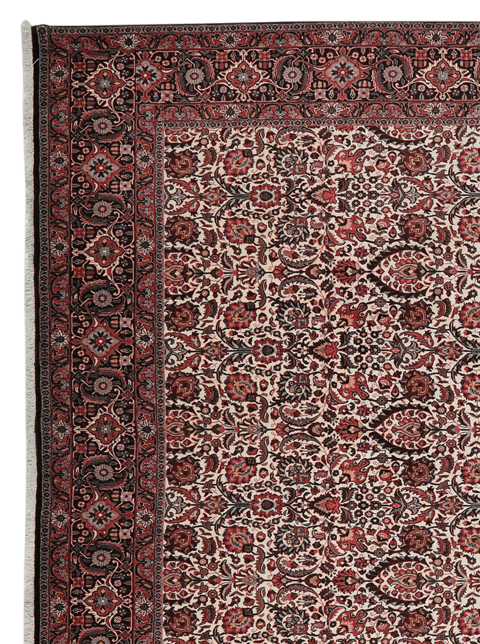 Bidjar — Hand-knotted, 259x347 cm, Beige, 100% Virgin Wool | View 3