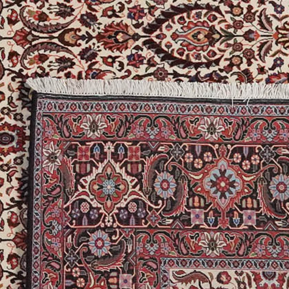 Bidjar — Hand-knotted, 259x347 cm, Beige, 100% Virgin Wool | View 6