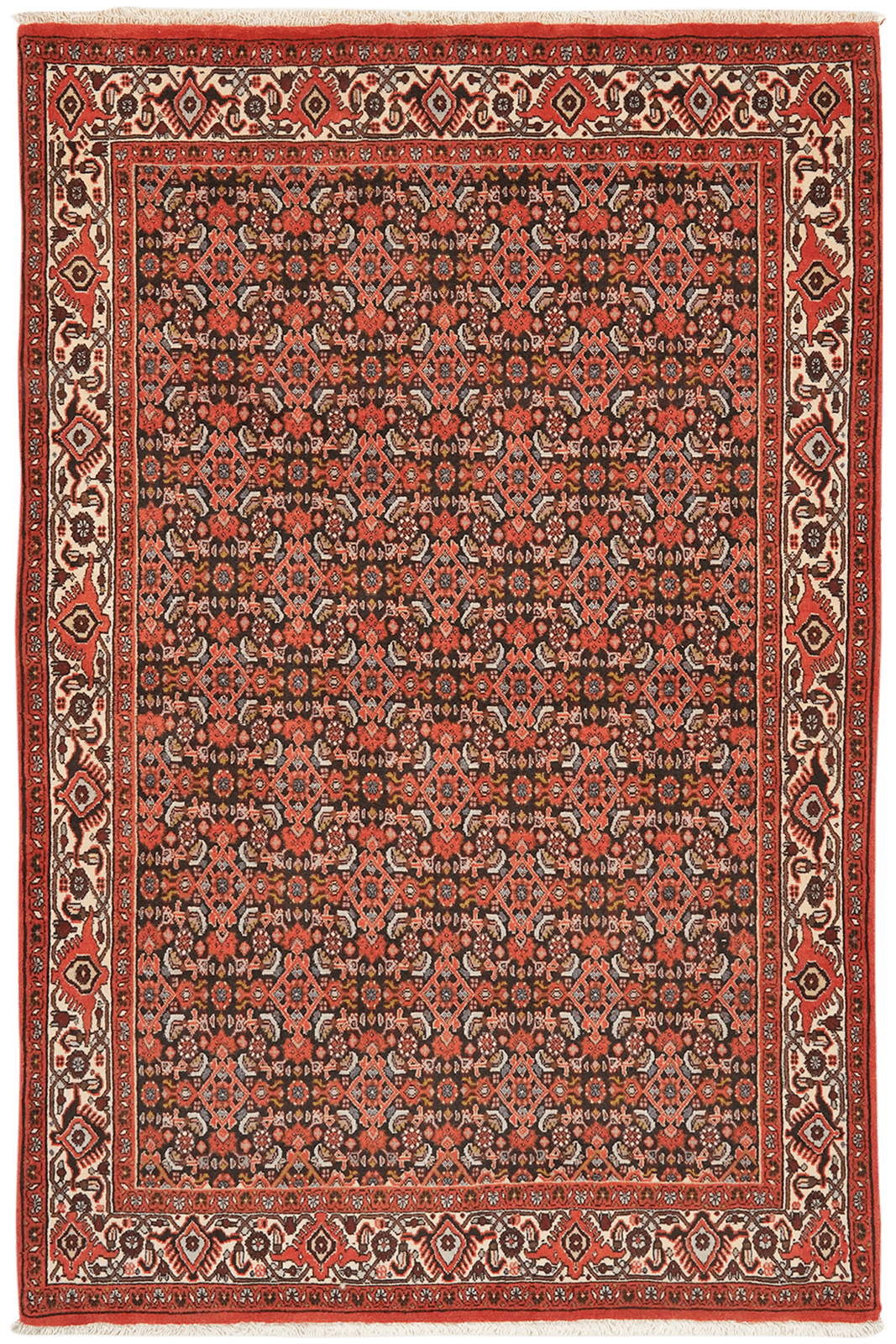 Bidjar — Hand-knotted, 114x176 cm, Blue, 100% Virgin Wool | Main view