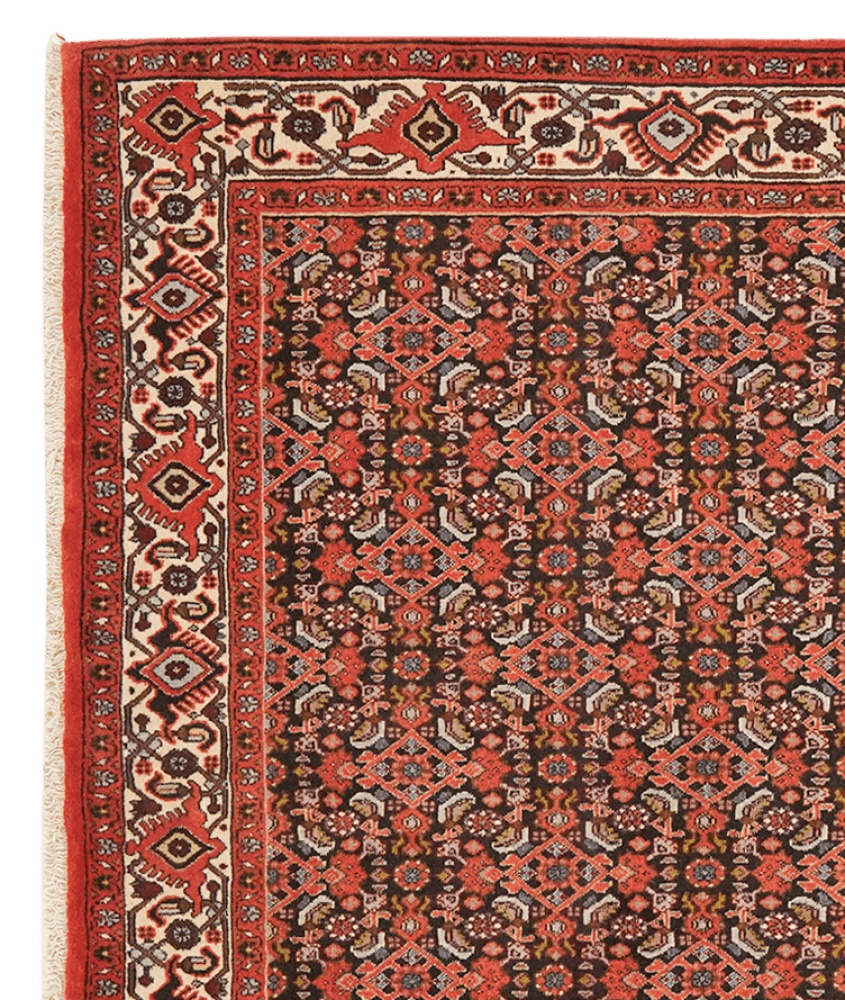 Bidjar — Hand-knotted, 114x176 cm, Blue, 100% Virgin Wool | View 3