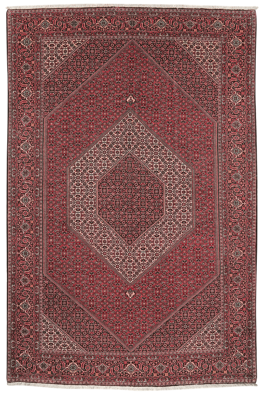 Bidjar — Hand-knotted, 202x303 cm, Red, 100% Virgin Wool | Main view