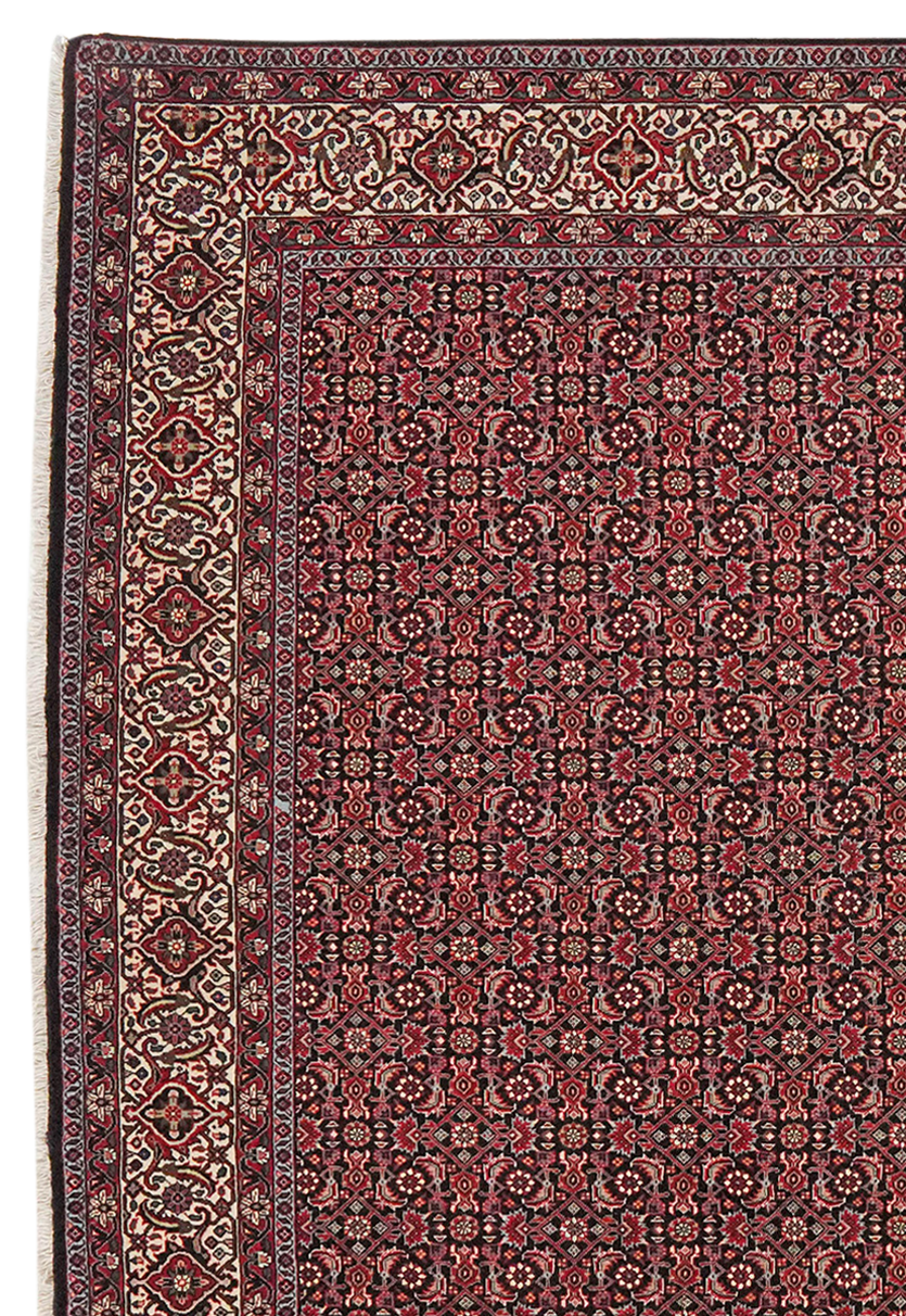 Bidjar Bookan — Handgefertigt, 204x204 cm, Beige, 95% Schurwolle, 5% Seide | View 4