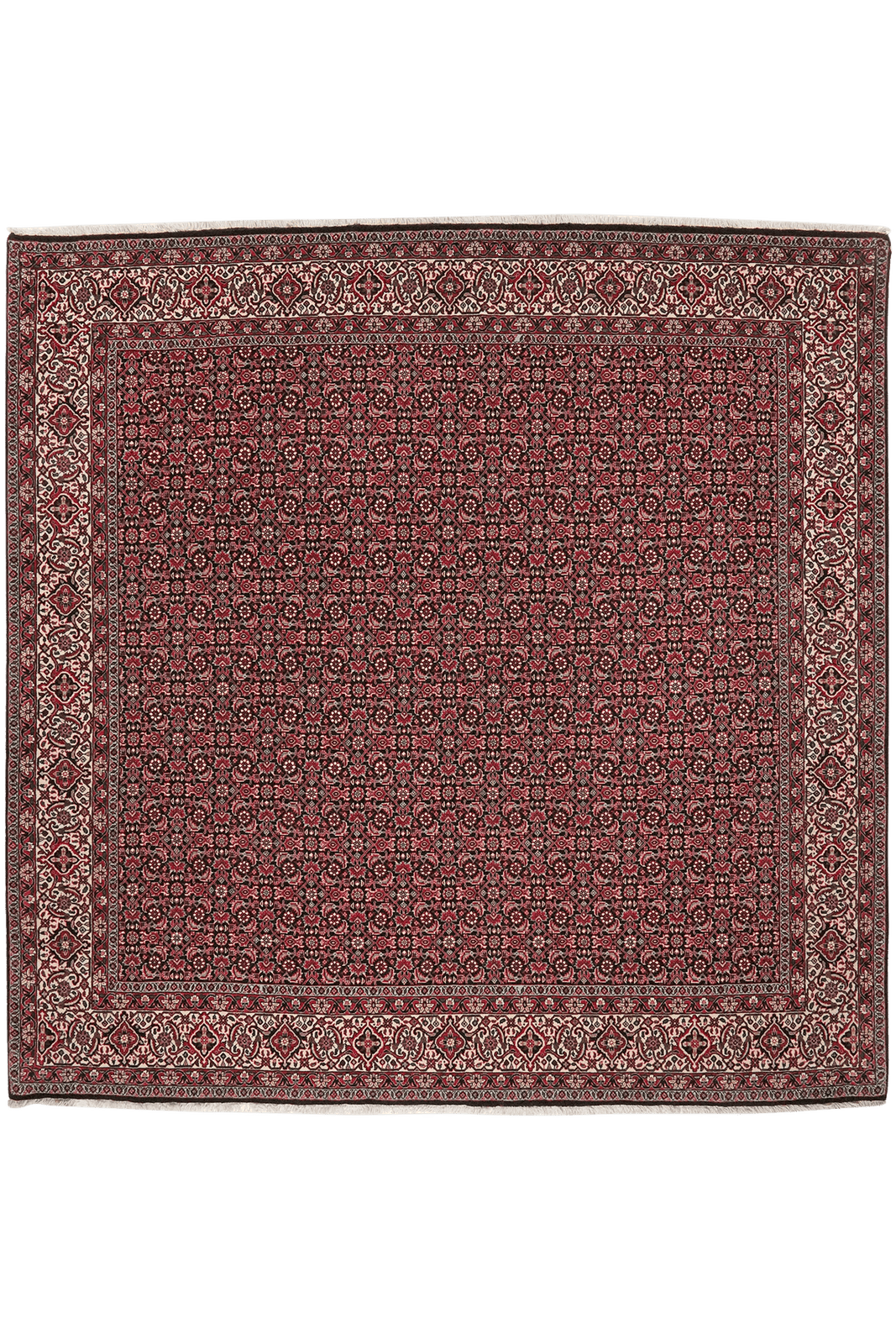 Bidjar Bookan — Hand-knotted, 204x204 cm, Blue, 95% Schurwolle, 5% Seide | Main view