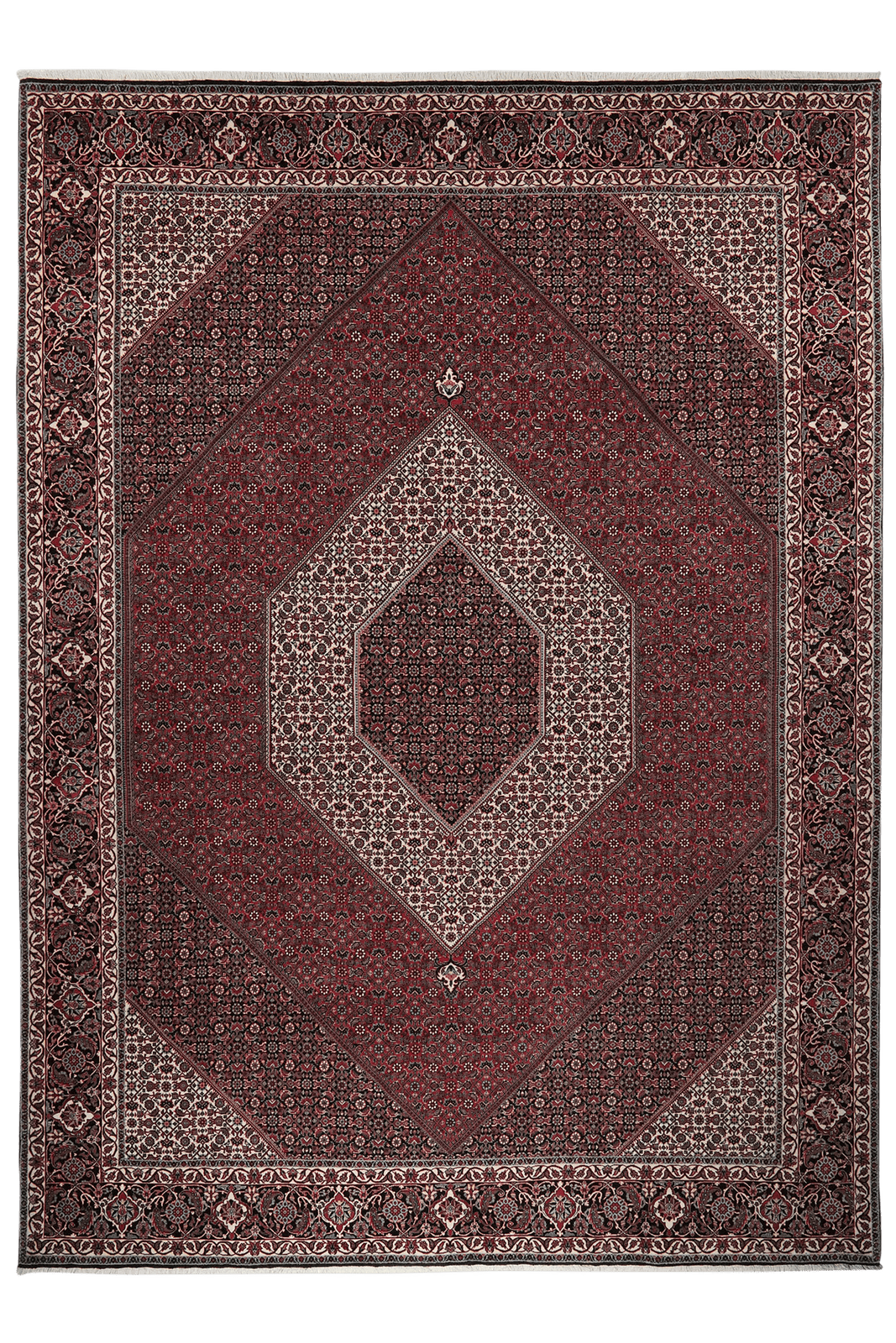 Bidjar Bookan — Hand-knotted, 256x352 cm, Red, 100% Virgin Wool | Main view