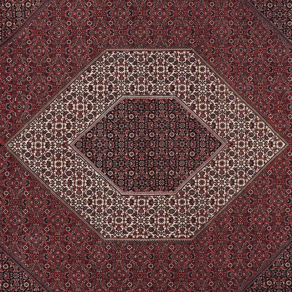 Bidjar Bookan — Hand-knotted, 256x352 cm, Red, 100% Virgin Wool | View 4