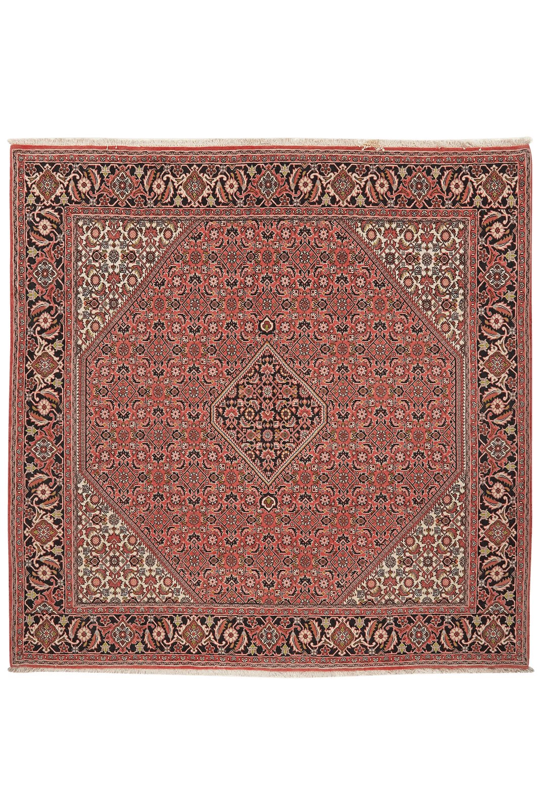 Bidjar Zandjan — Hand-knotted, 201x198 cm, Red, 100% Virgin Wool | Main view