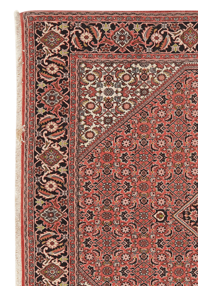 Bidjar Zandjan — Hand-knotted, 201x198 cm, Red, 100% Virgin Wool | View 3