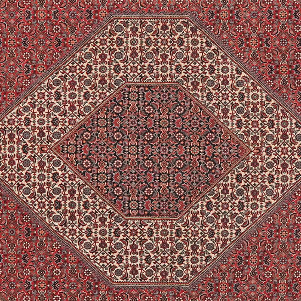 Bidjar Bookan — Hand-knotted, 249x256 cm, Red, 100% Virgin Wool | View 4