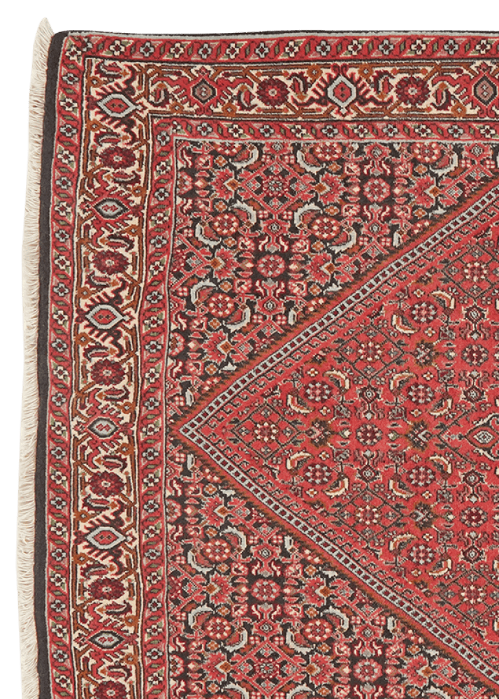 Bidjar Tekkab — Hand-knotted, 94x162 cm, Red, 100% Virgin Wool | View 3