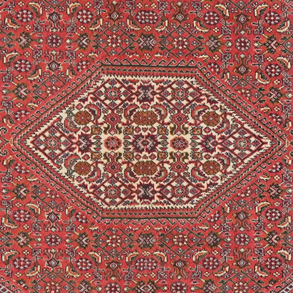 Bidjar Tekkab — Hand-knotted, 94x162 cm, Red, 100% Virgin Wool | View 4