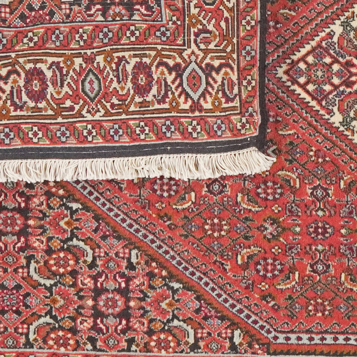 Bidjar Tekkab — Hand-knotted, 94x162 cm, Red, 100% Virgin Wool | View 6