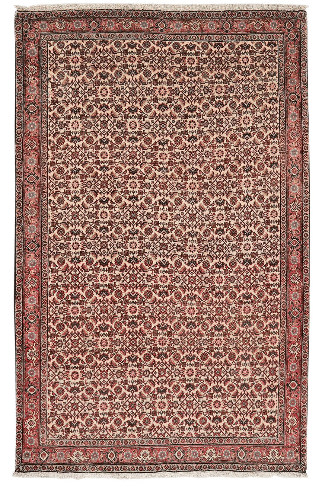 Bidjar — Hand-knotted, 112x175 cm, Beige, 100% Virgin Wool | Main view