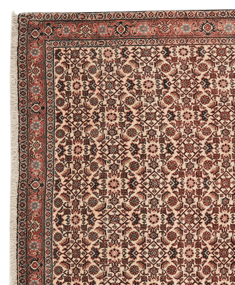 Bidjar — Hand-knotted, 112x175 cm, Beige, 100% Virgin Wool | View 3