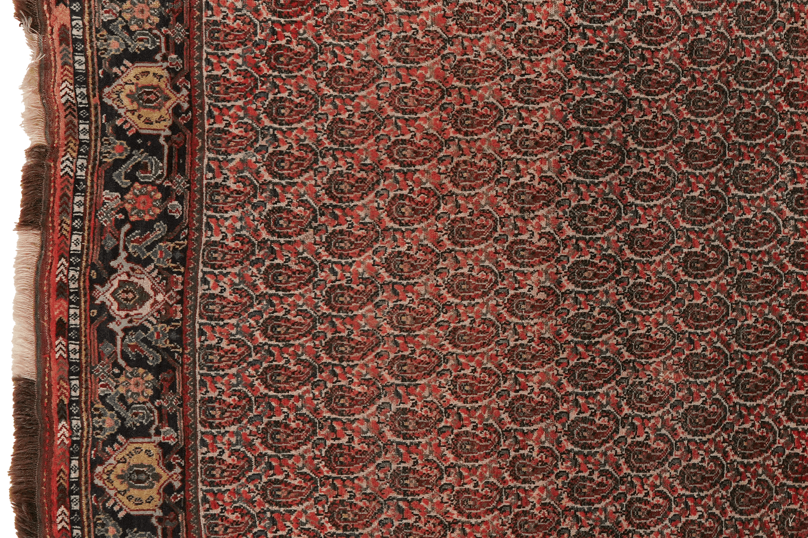 Gashgai — Hand-knotted, 117x165 cm, Beige, 100% Virgin Wool | View 3
