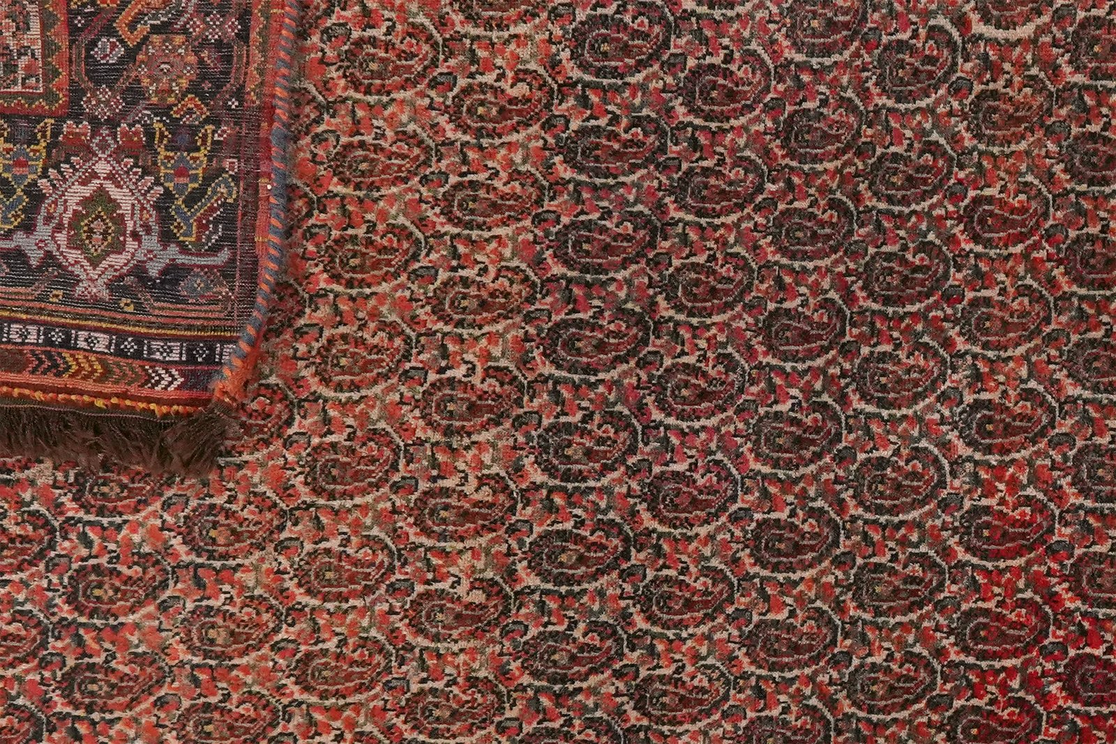 Gashgai — Hand-knotted, 117x165 cm, Beige, 100% Virgin Wool | View 5