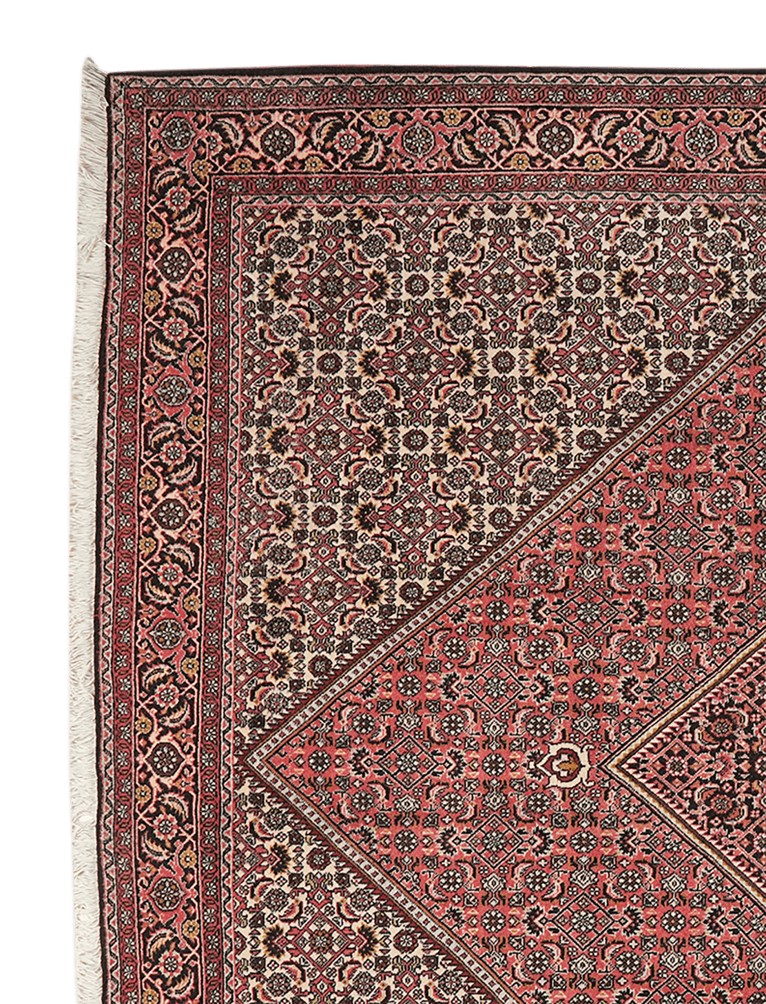 Bidjar Zandjan — Hand-knotted, 203x202 cm, Red, 100% Virgin Wool | View 3