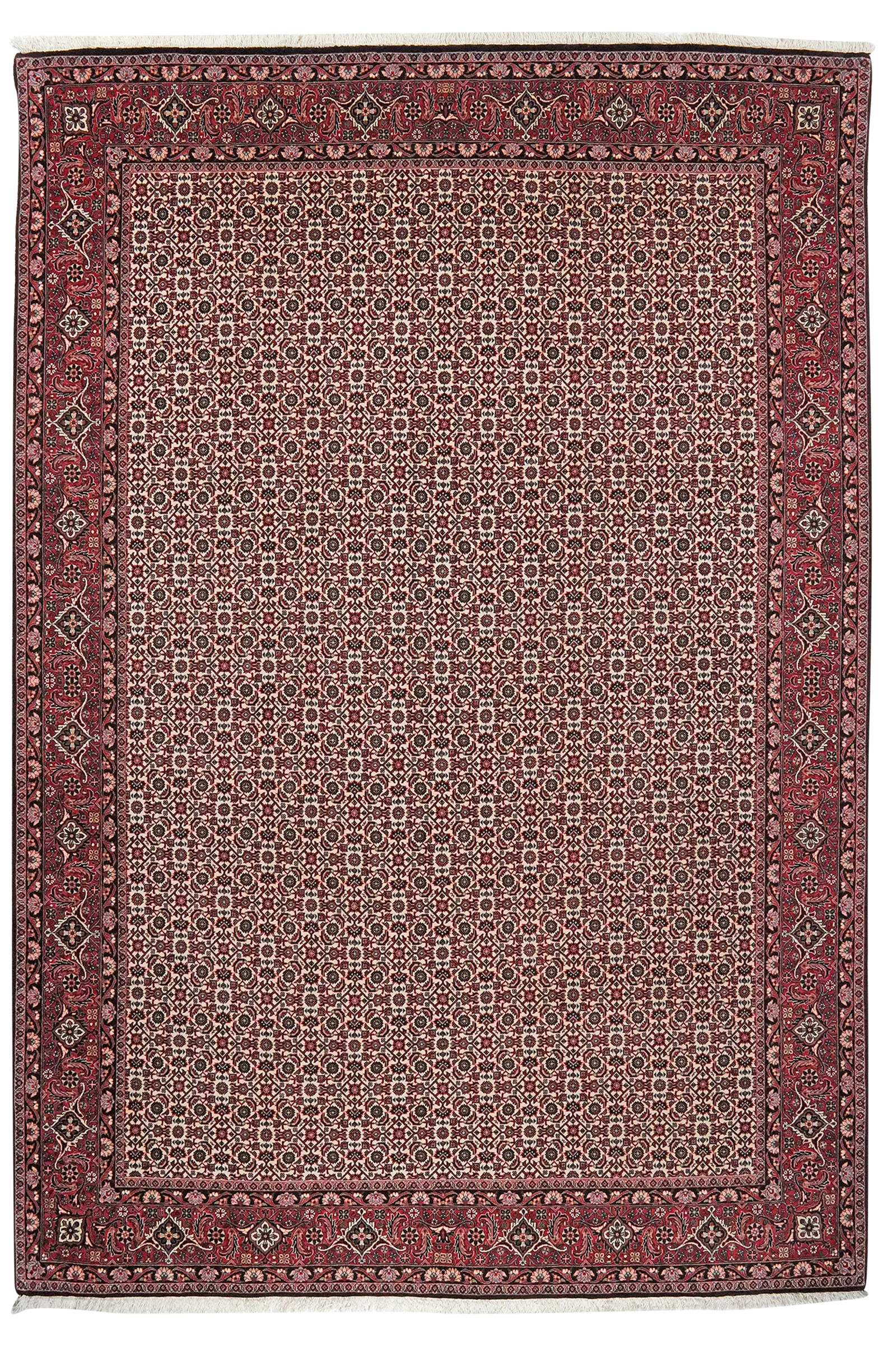 Bidjar — Handgefertigt, 296x202 cm, Rot, 100% Virgin Wool | Main view