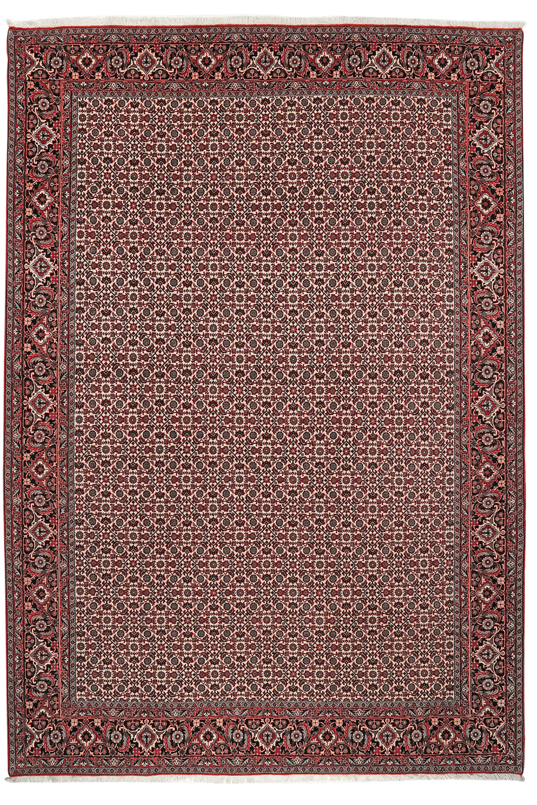 Bidjar — Hand-knotted, 203x293 cm, Beige, 100% Virgin Wool | Main view
