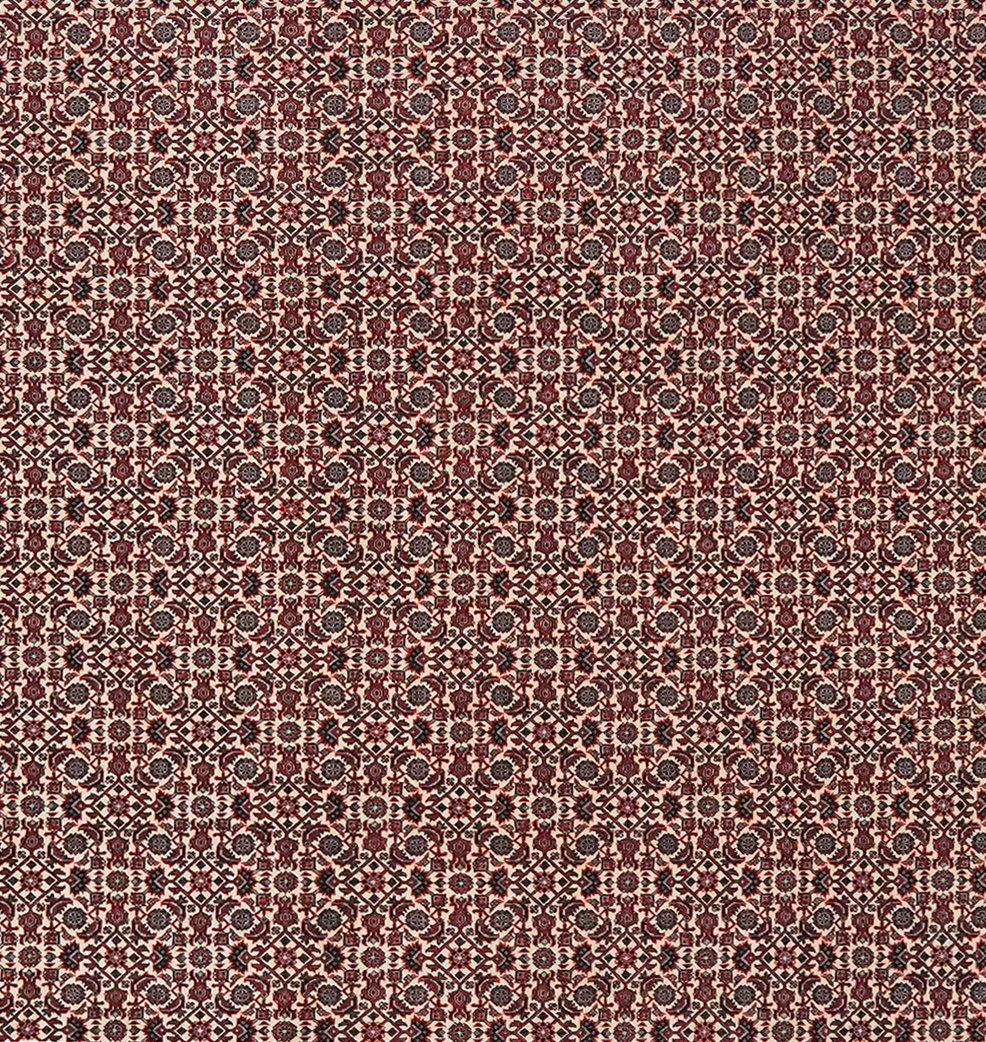 Bidjar — Hand-knotted, 203x293 cm, Beige, 100% Virgin Wool | View 4