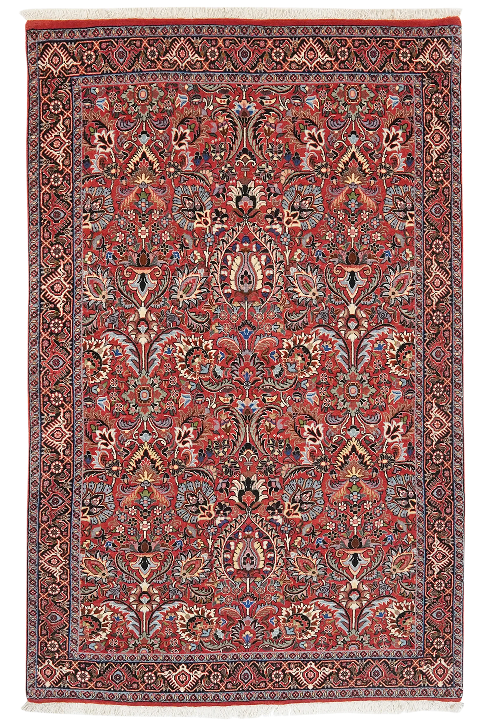 Bidjar Bookan — Handgefertigt, 176x112 cm, Blau, 100% Virgin Wool | Main view