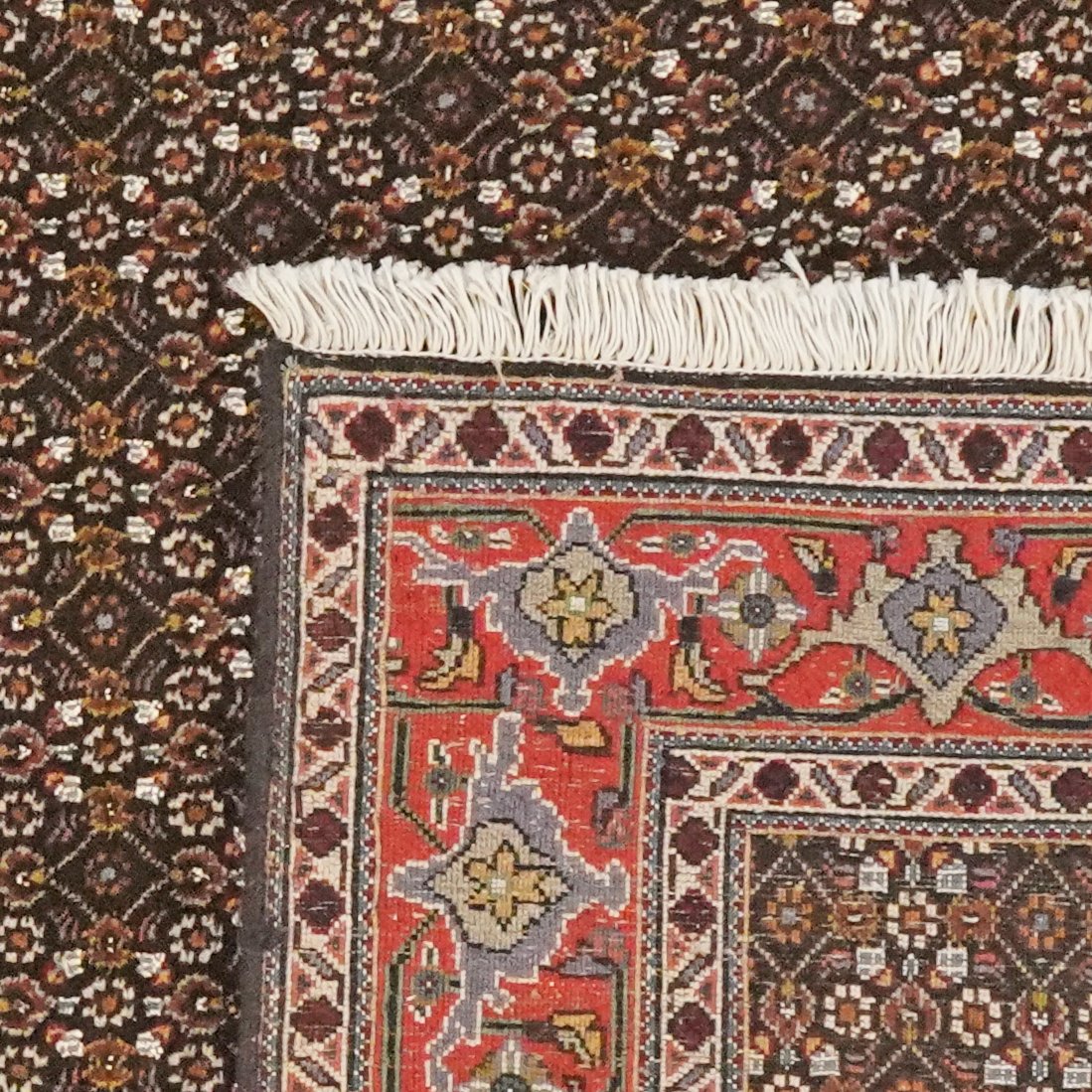 Tabriz 40 Raj — Hand-knotted, 103x143 cm, Black, 100% Virgin Wool | View 6