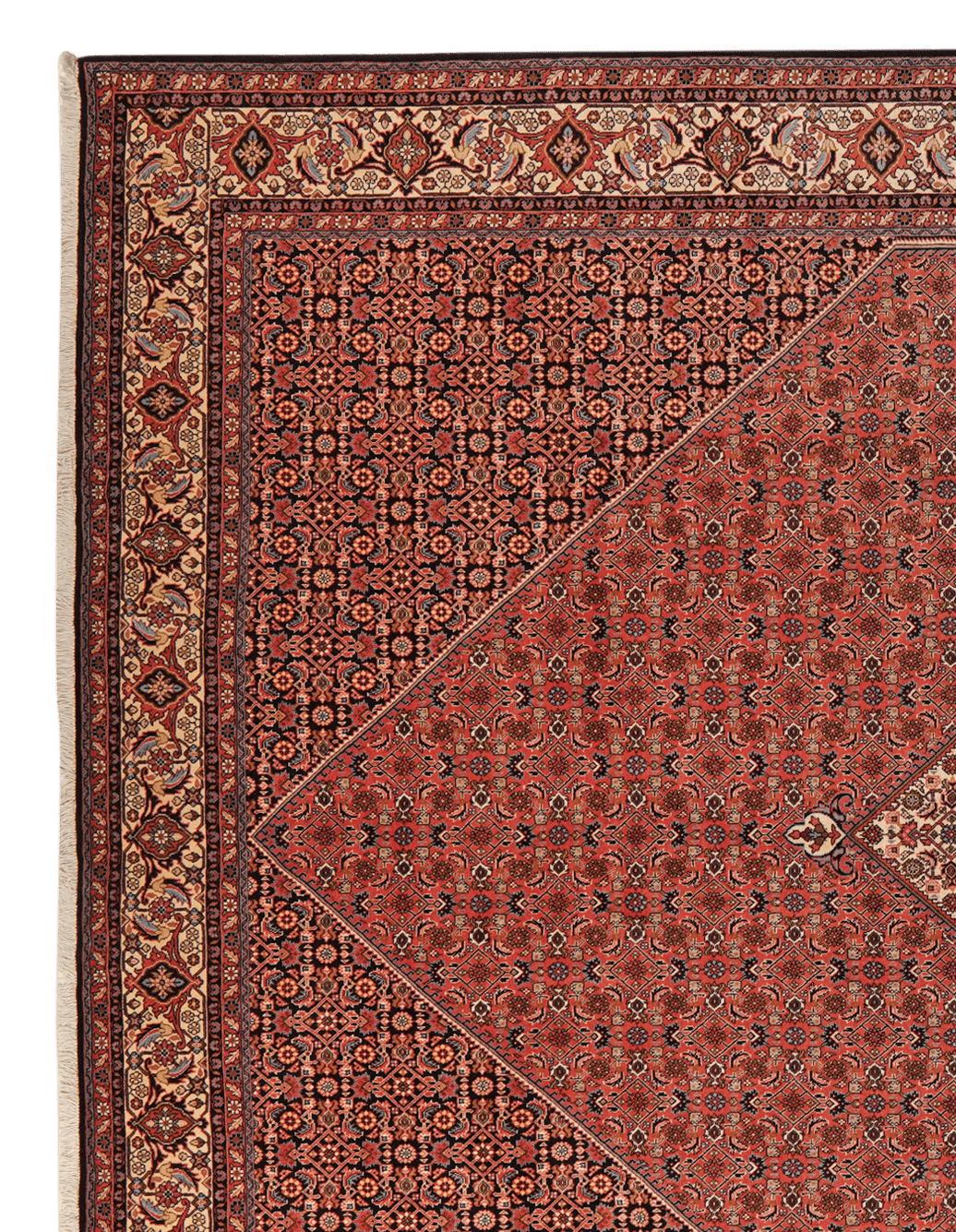 Bidjar Zandjan — Hand-knotted, 298x393 cm, Red, 100% Virgin Wool | View 3