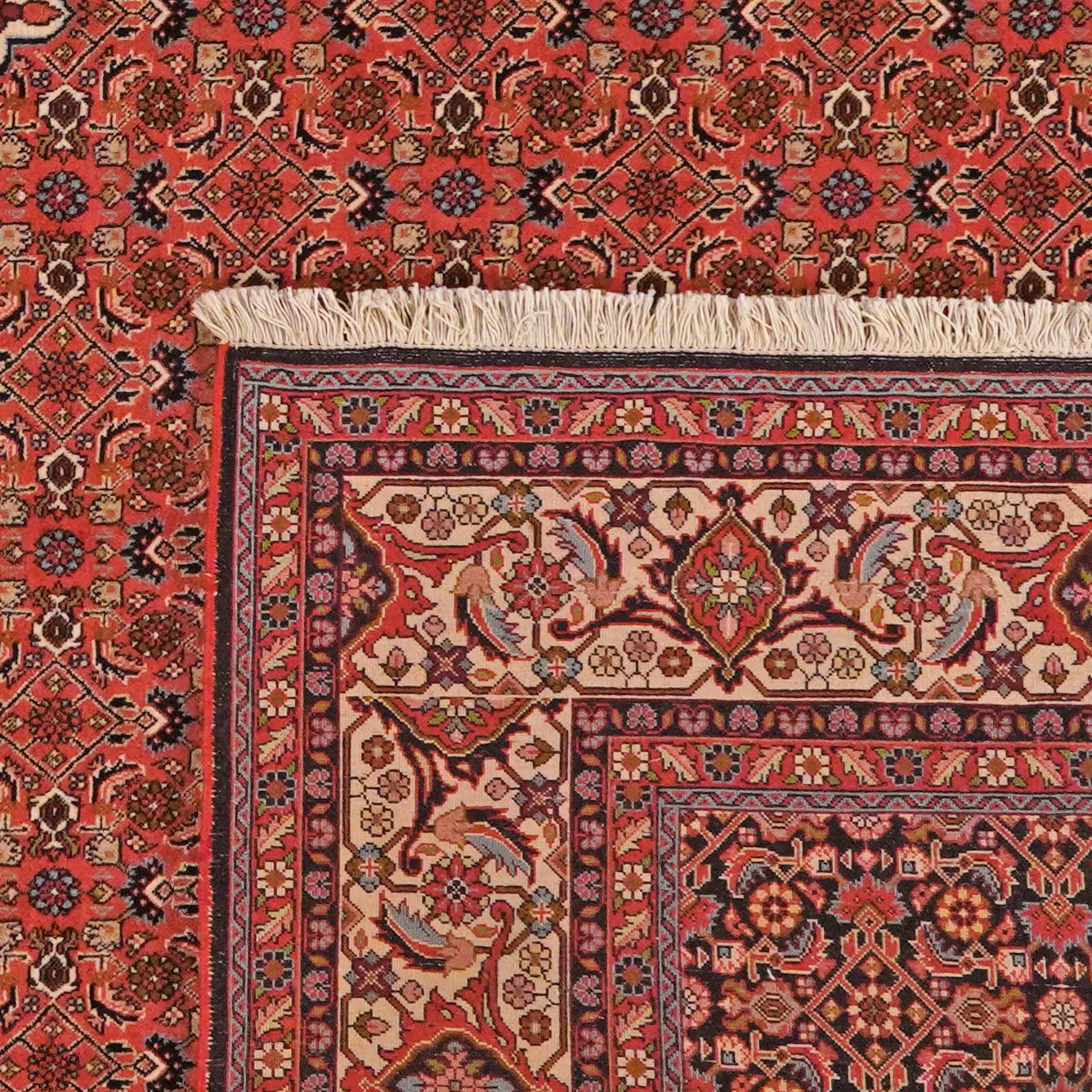 Bidjar Zandjan — Hand-knotted, 298x393 cm, Red, 100% Virgin Wool | View 6