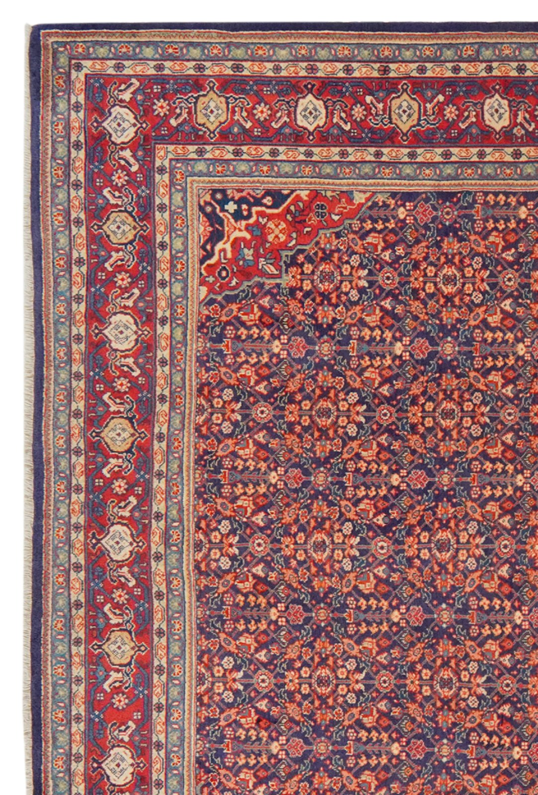 Meyghan — Hand-knotted, 213x322 cm, Blue, 100% Virgin Wool | View 3