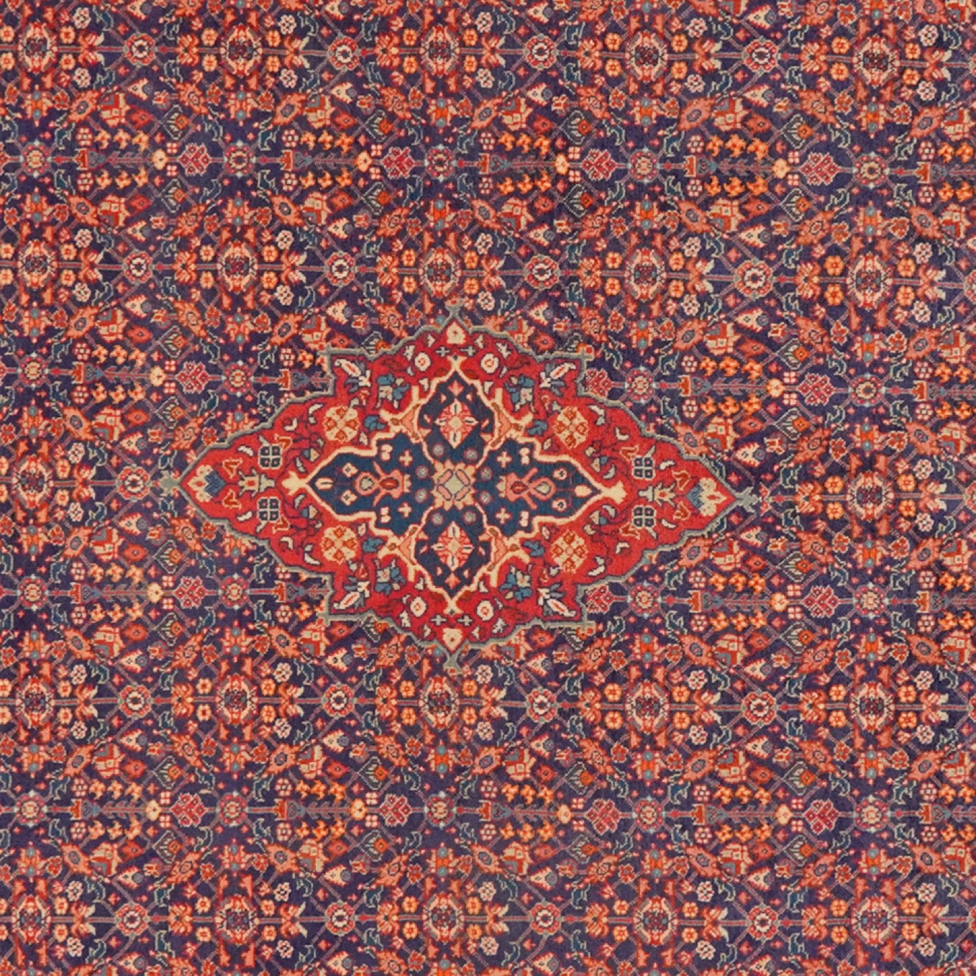 Meyghan — Hand-knotted, 213x322 cm, Blue, 100% Virgin Wool | View 4