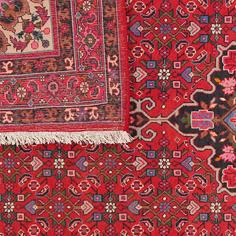 Bidjar — Hand-knotted, 155x254 cm, Red, 100% Virgin Wool | View 6