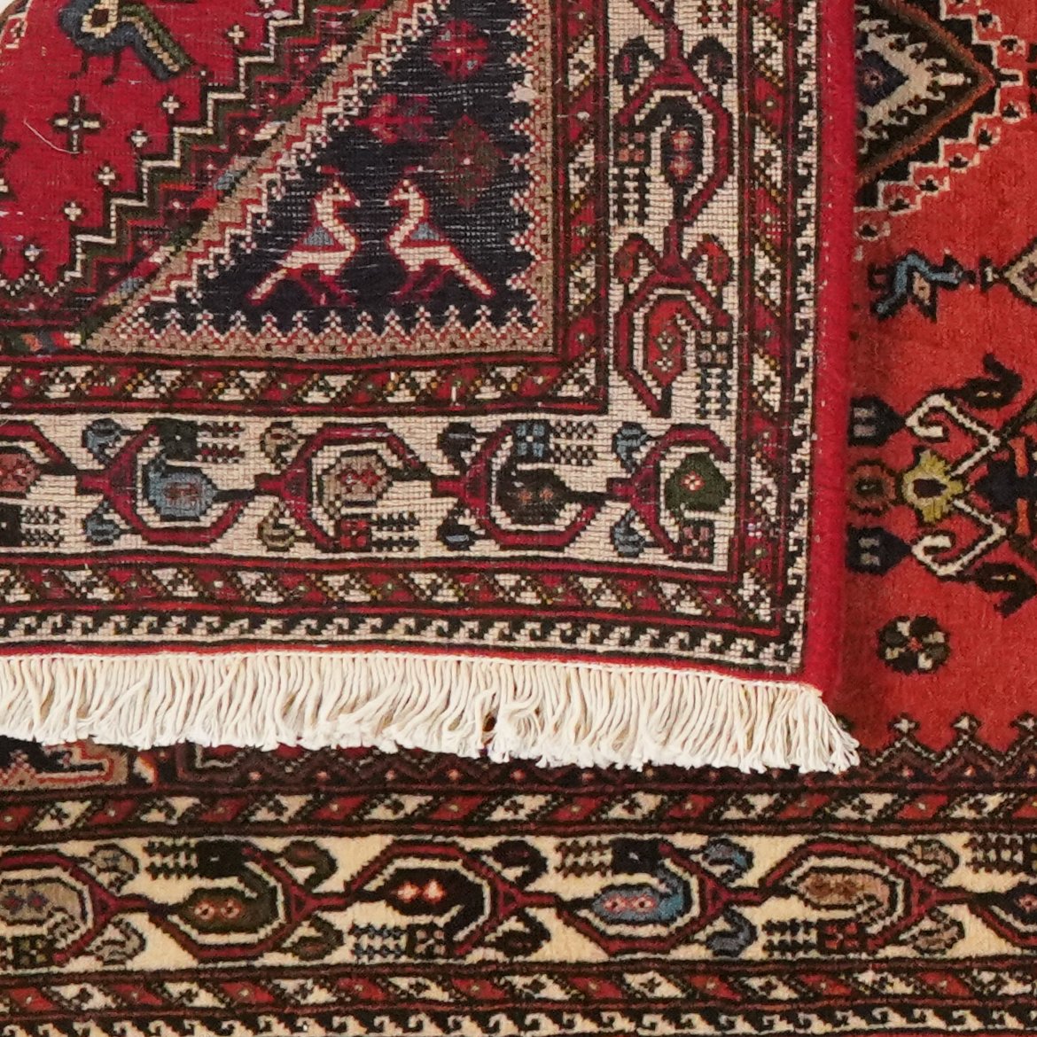 Nasrabad — Hand-knotted, 78x198 cm, Red, 100% Virgin Wool | View 6