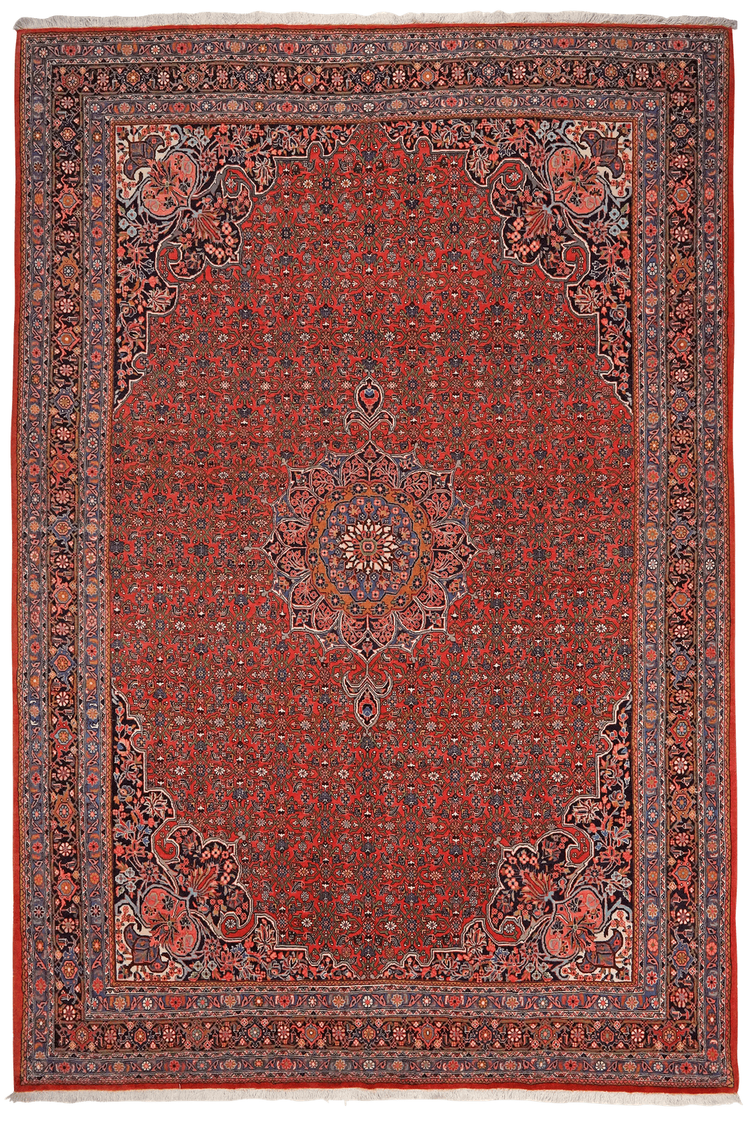 Bidjar — Hand-knotted, 212x313 cm, Red, 100% Virgin Wool | Main view