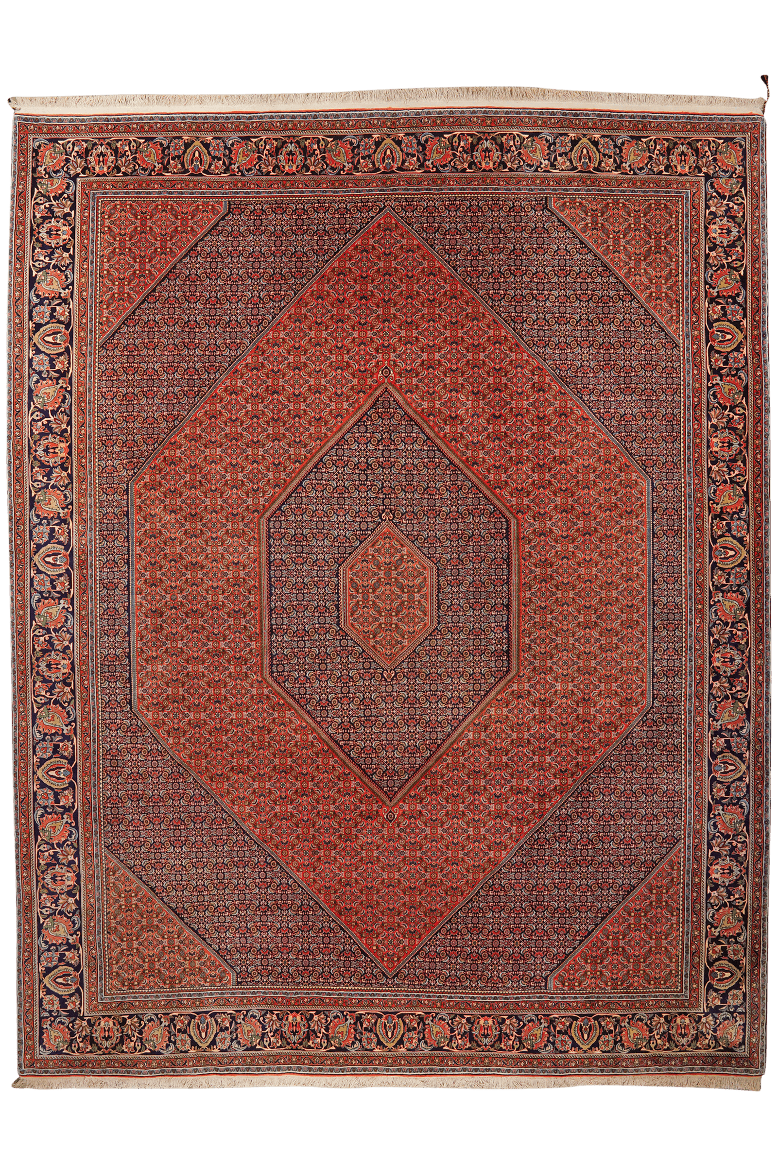 Bidjar — Hand-knotted, 309x400 cm, Red, 100% Virgin Wool | Main view