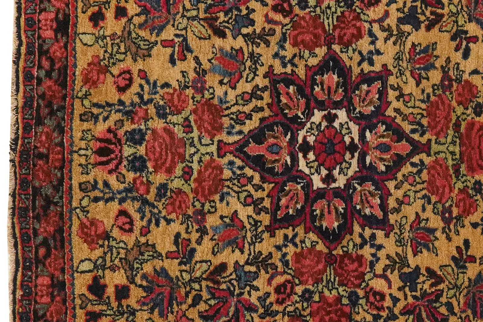 Bidjar — Hand-knotted, 70x76 cm, Beige, 100% Virgin Wool | View 3