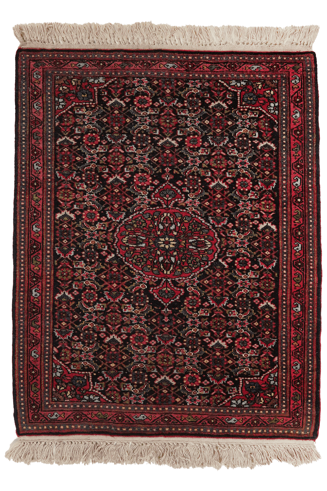 Bidjar — Hand-knotted, 68x83 cm, Blue, 100% Virgin Wool | Main view