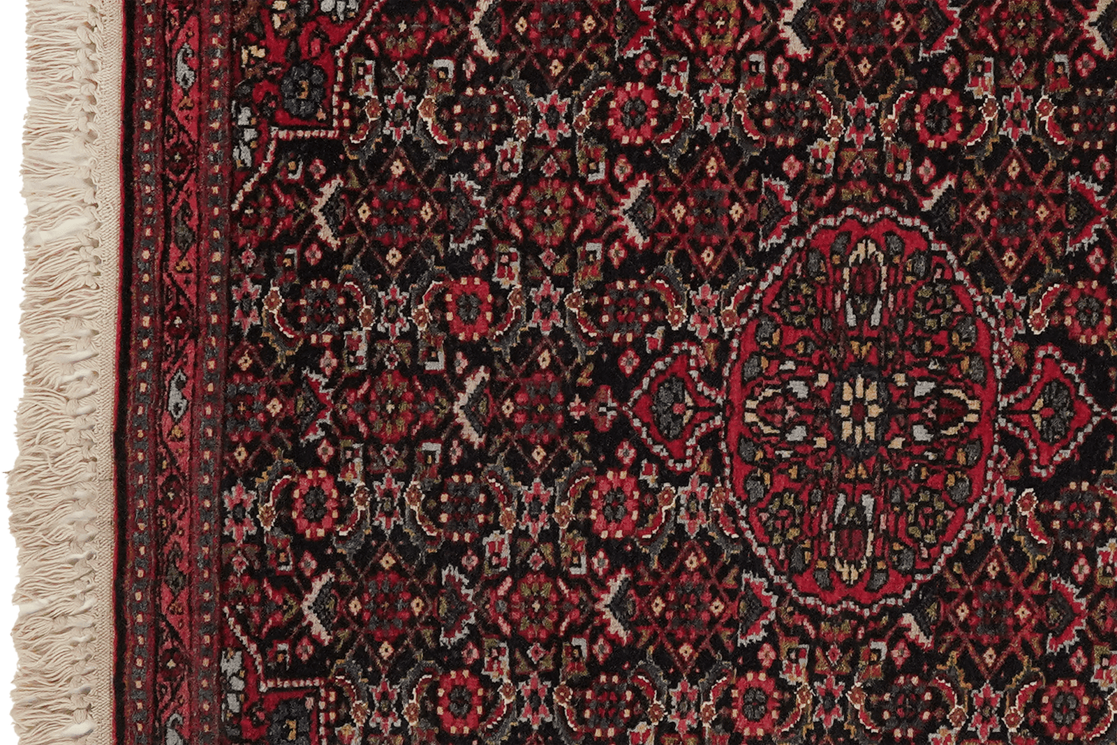 Bidjar — Hand-knotted, 68x83 cm, Blue, 100% Virgin Wool | View 3