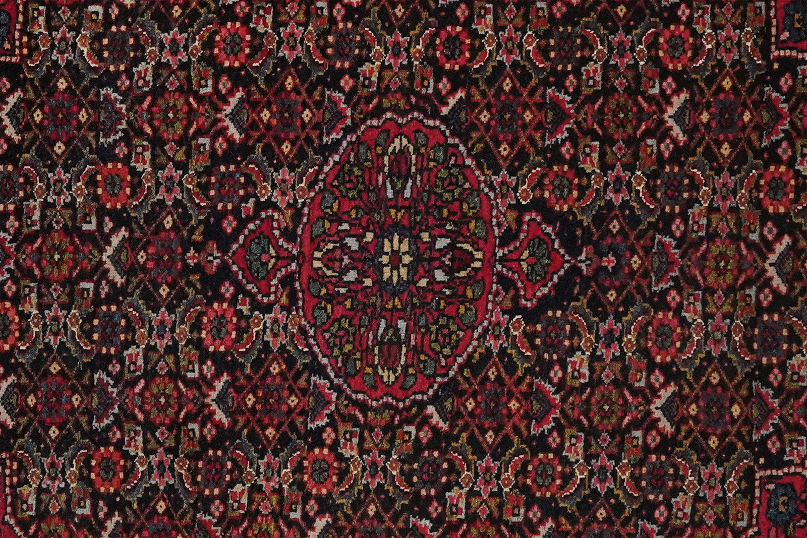 Bidjar — Handgefertigt, 83x68 cm, Rot, 100% Virgin Wool | View 5