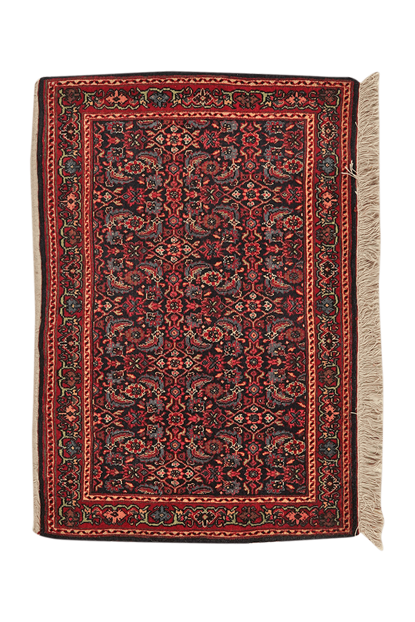Bidjar — Hand-knotted, 68x95 cm, Blue, 100% Virgin Wool | Main view