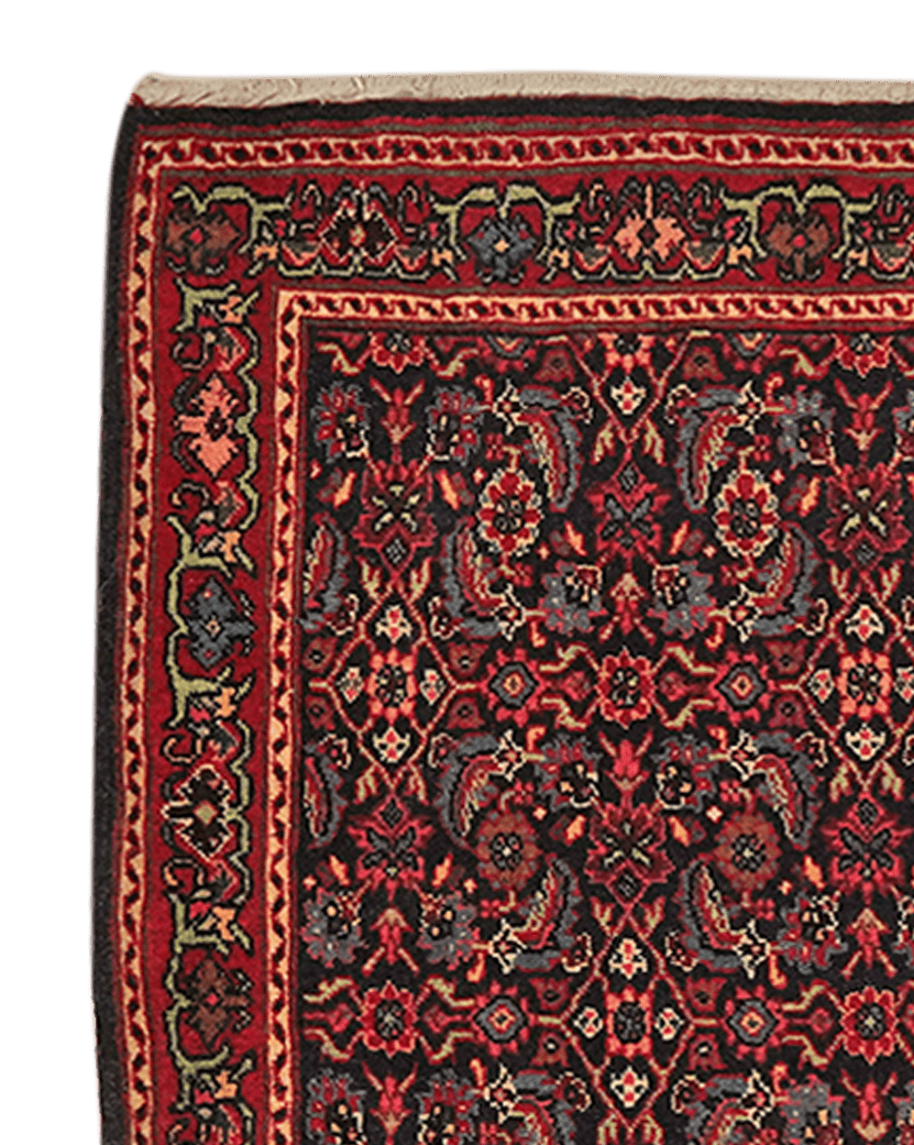 Bidjar — Hand-knotted, 68x95 cm, Blue, 100% Virgin Wool | View 3