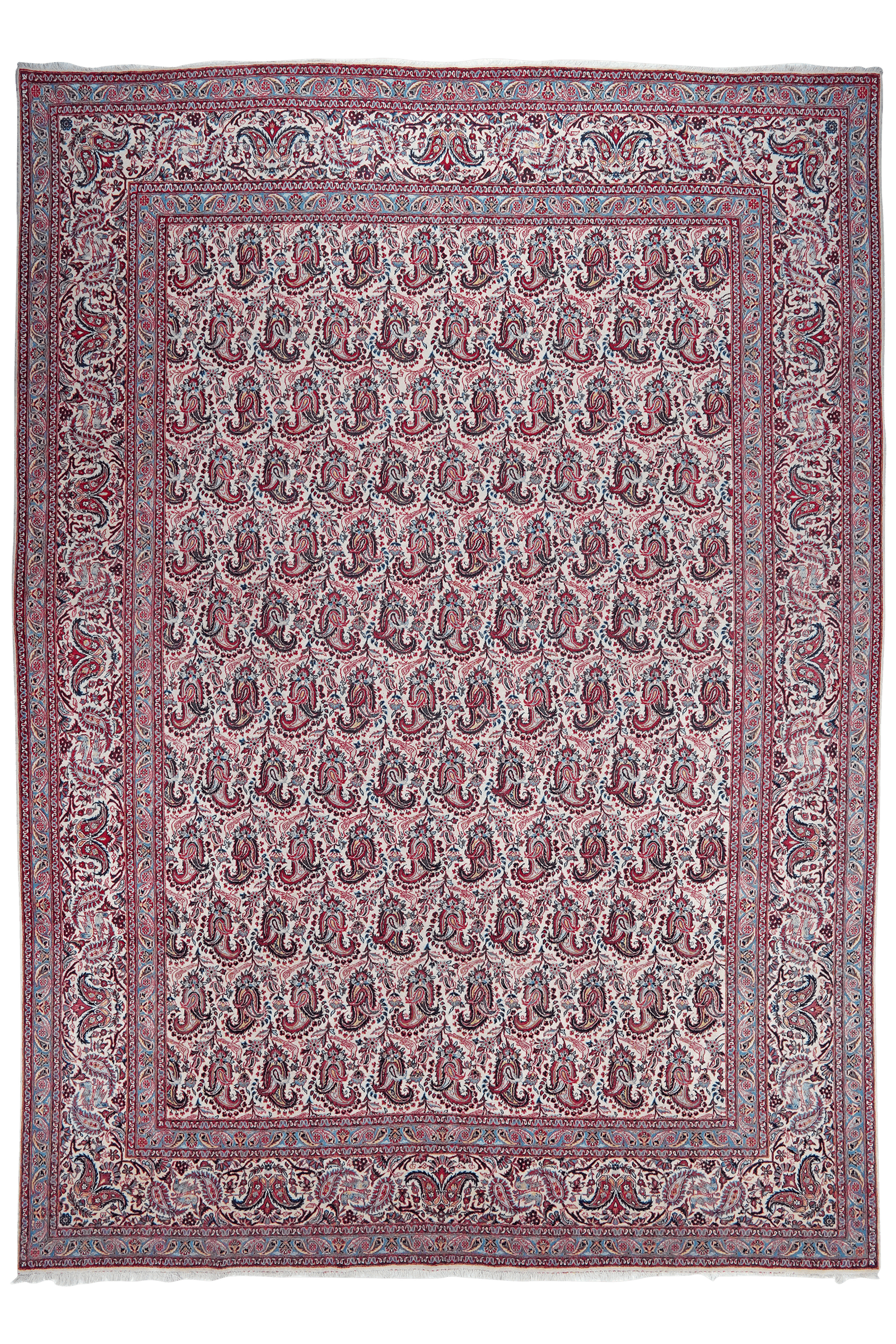 Kashan — Hand-knotted, 269x372 cm, Beige, 100% Virgin Wool | Main view