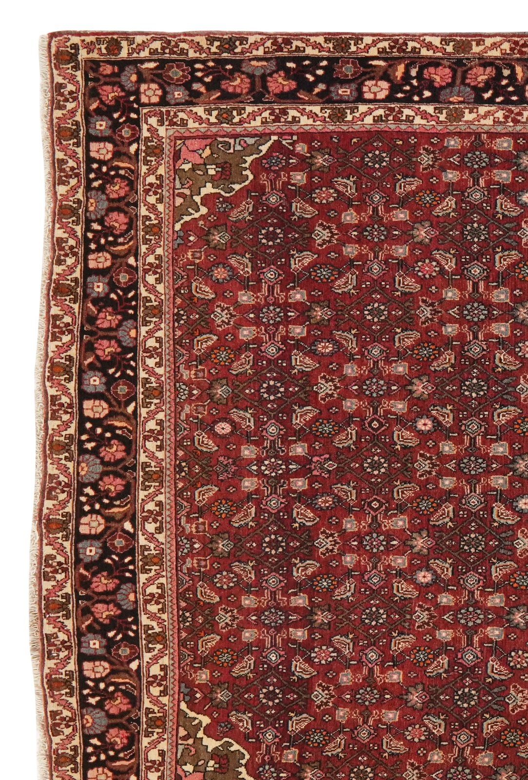 Bidjar — Hand-knotted, 139x214 cm, Red, 100% Virgin Wool | View 3