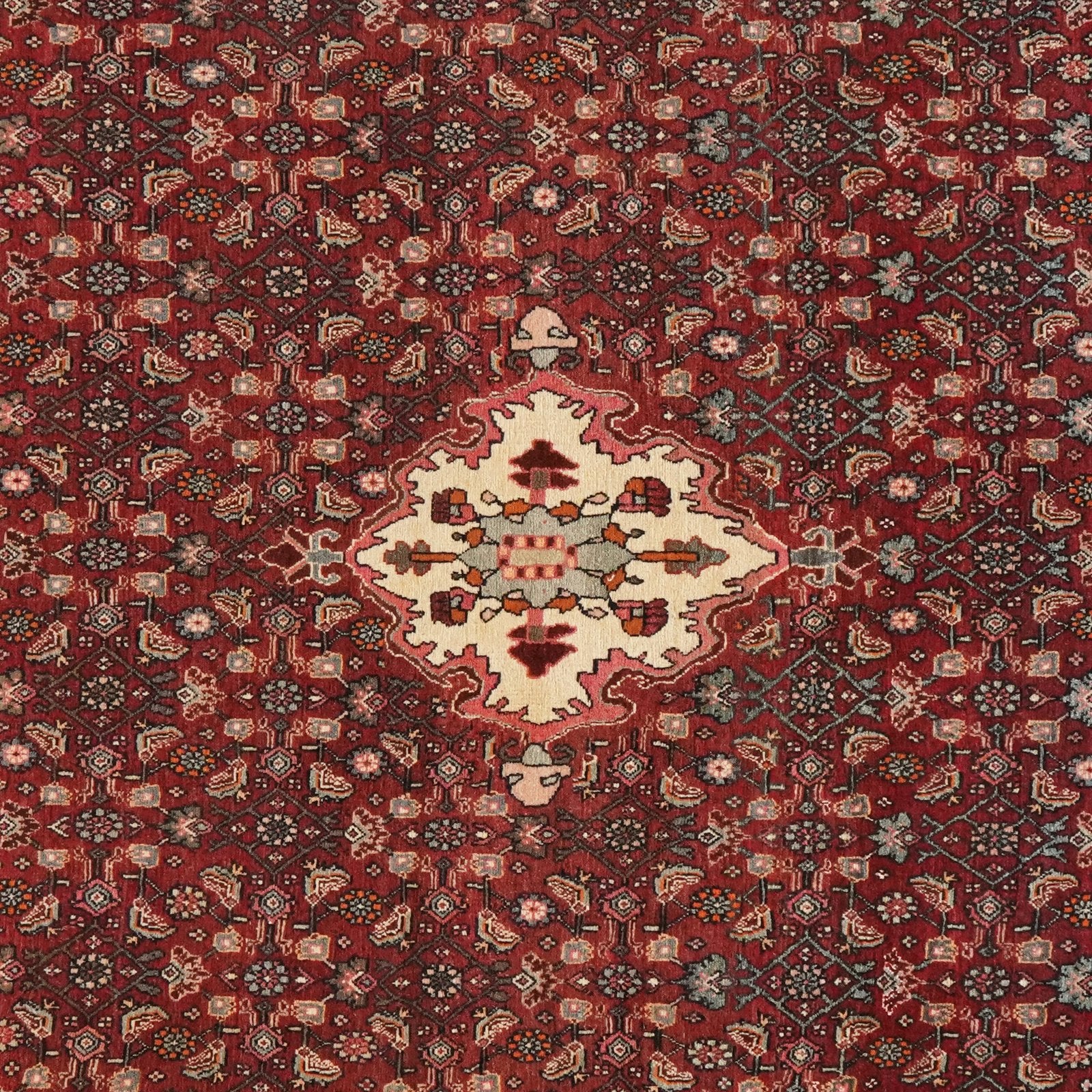 Bidjar — Hand-knotted, 139x214 cm, Red, 100% Virgin Wool | View 4