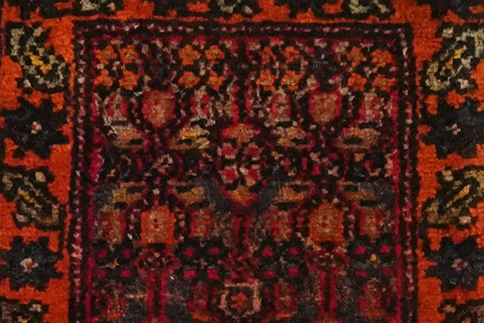 Bidjar — Hand-knotted, 30x31 cm, Multicolor, 100% Virgin Wool | View 4