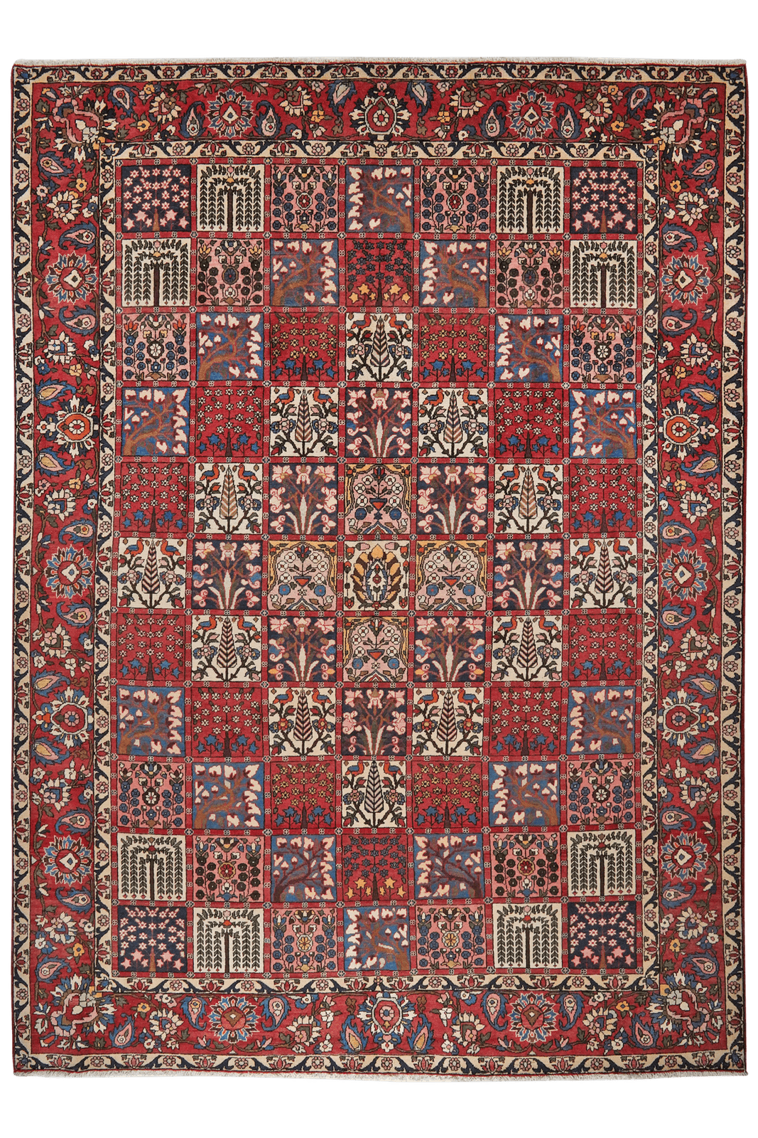 Bakhtiar — Hand-knotted, 260x366 cm, Multicolor, 100% Virgin Wool | Main view