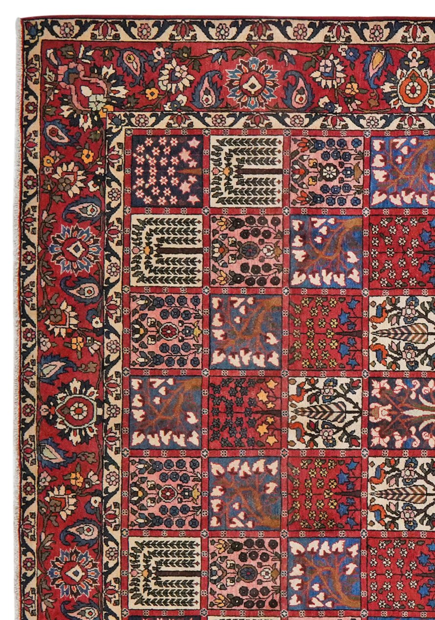 Bakhtiar — Hand-knotted, 260x366 cm, Multicolor, 100% Virgin Wool | View 3
