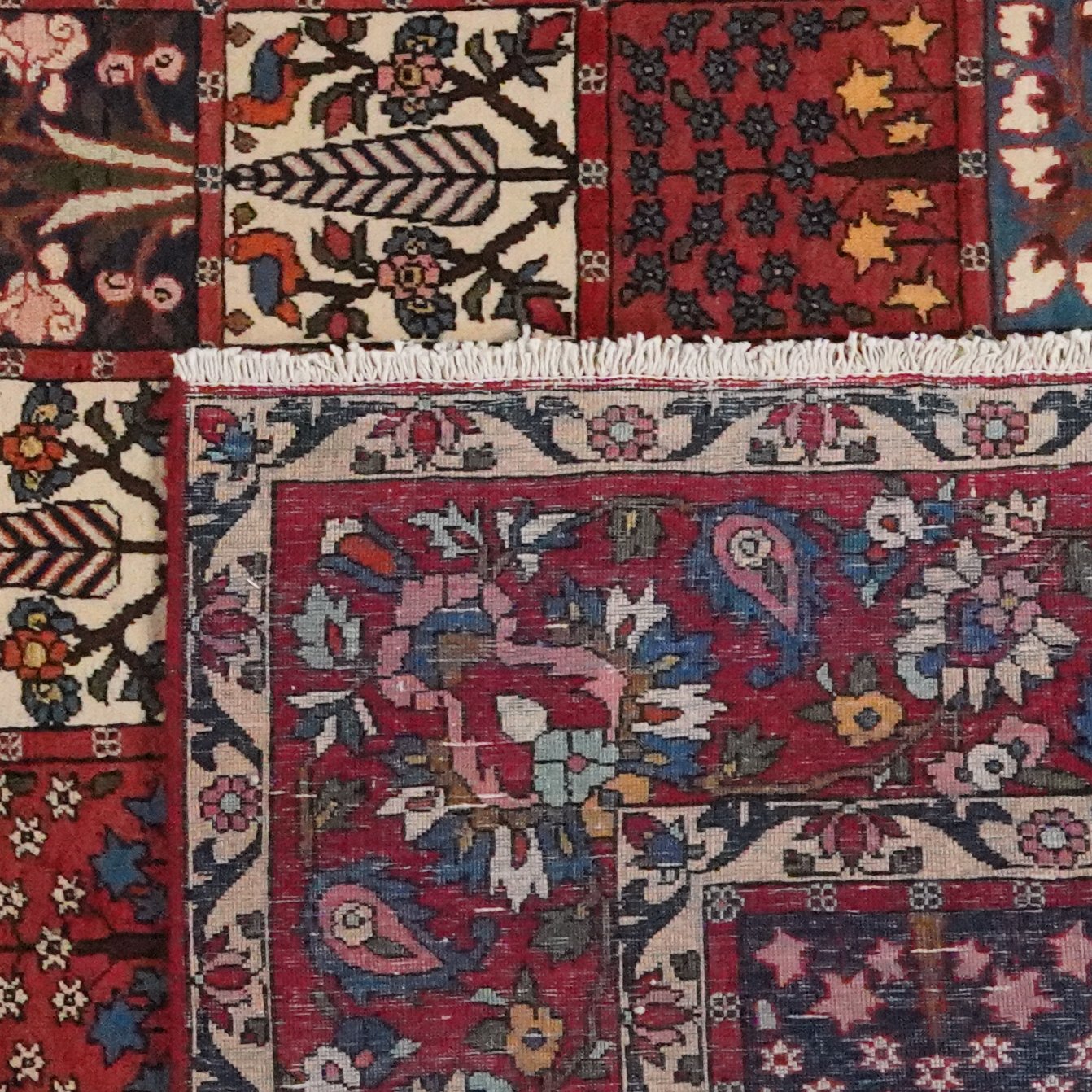 Bakhtiar — Hand-knotted, 260x366 cm, Multicolor, 100% Virgin Wool | View 6