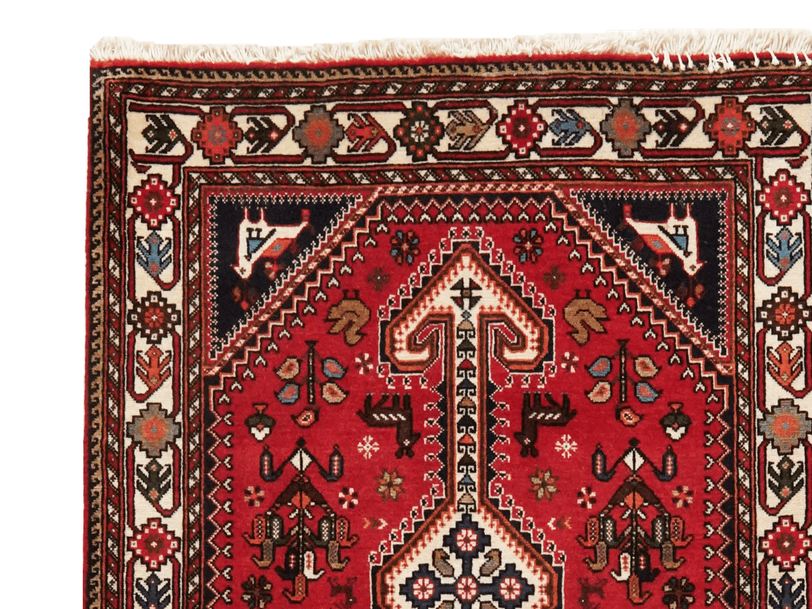 Nasrabad — Hand-knotted, 81x309 cm, Red, 100% Virgin Wool | View 3
