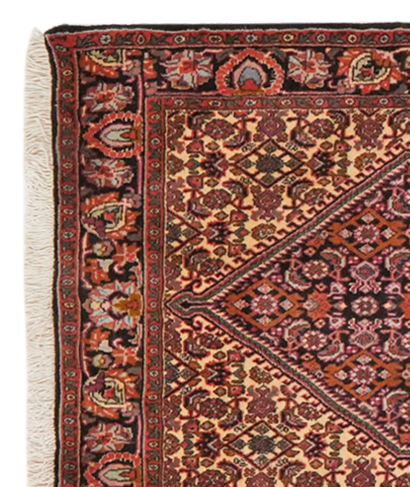 Bidjar Bookan — Hand-knotted, 72x241 cm, Brown, 100% Virgin Wool | View 3