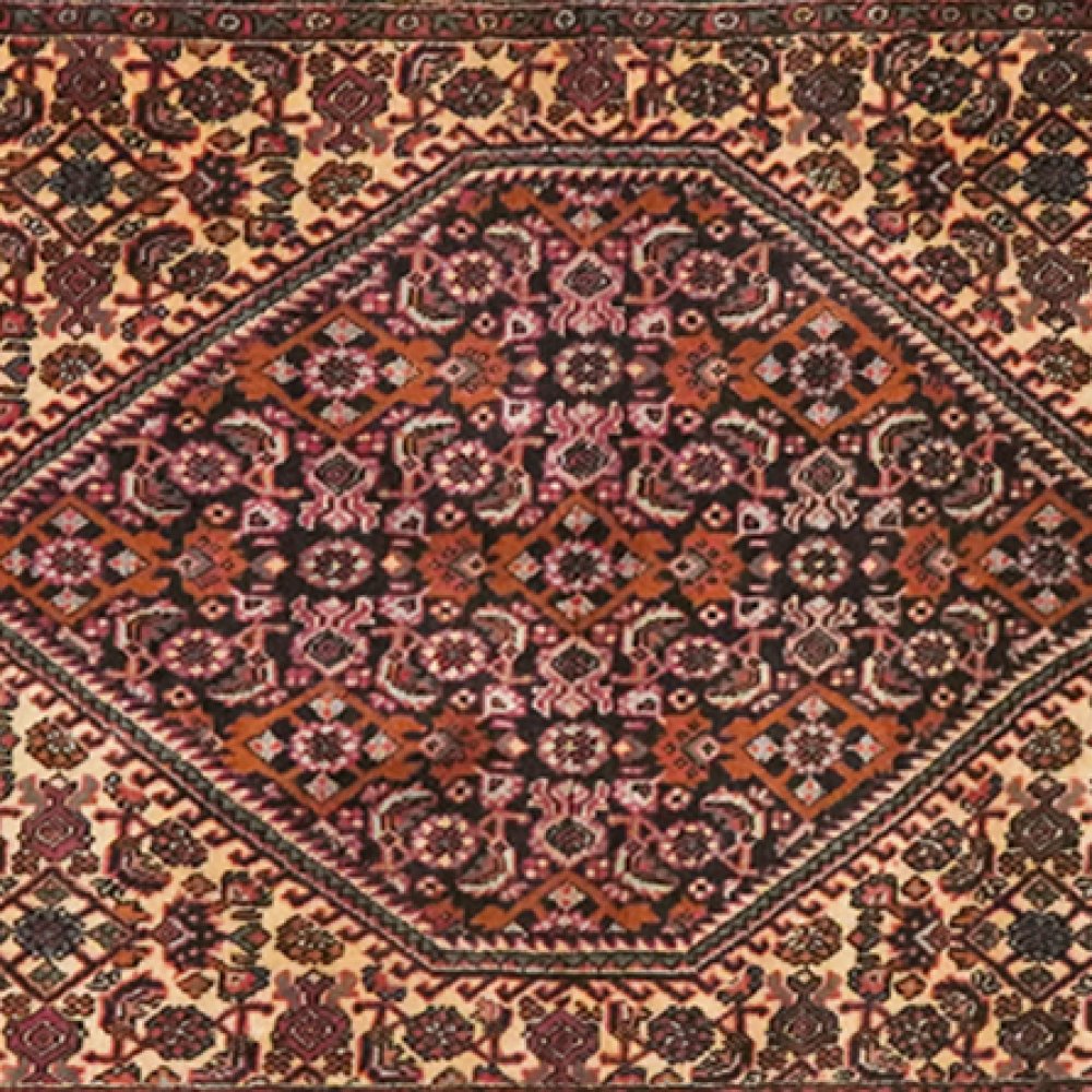 Bidjar Bookan — Hand-knotted, 72x241 cm, Brown, 100% Virgin Wool | View 4