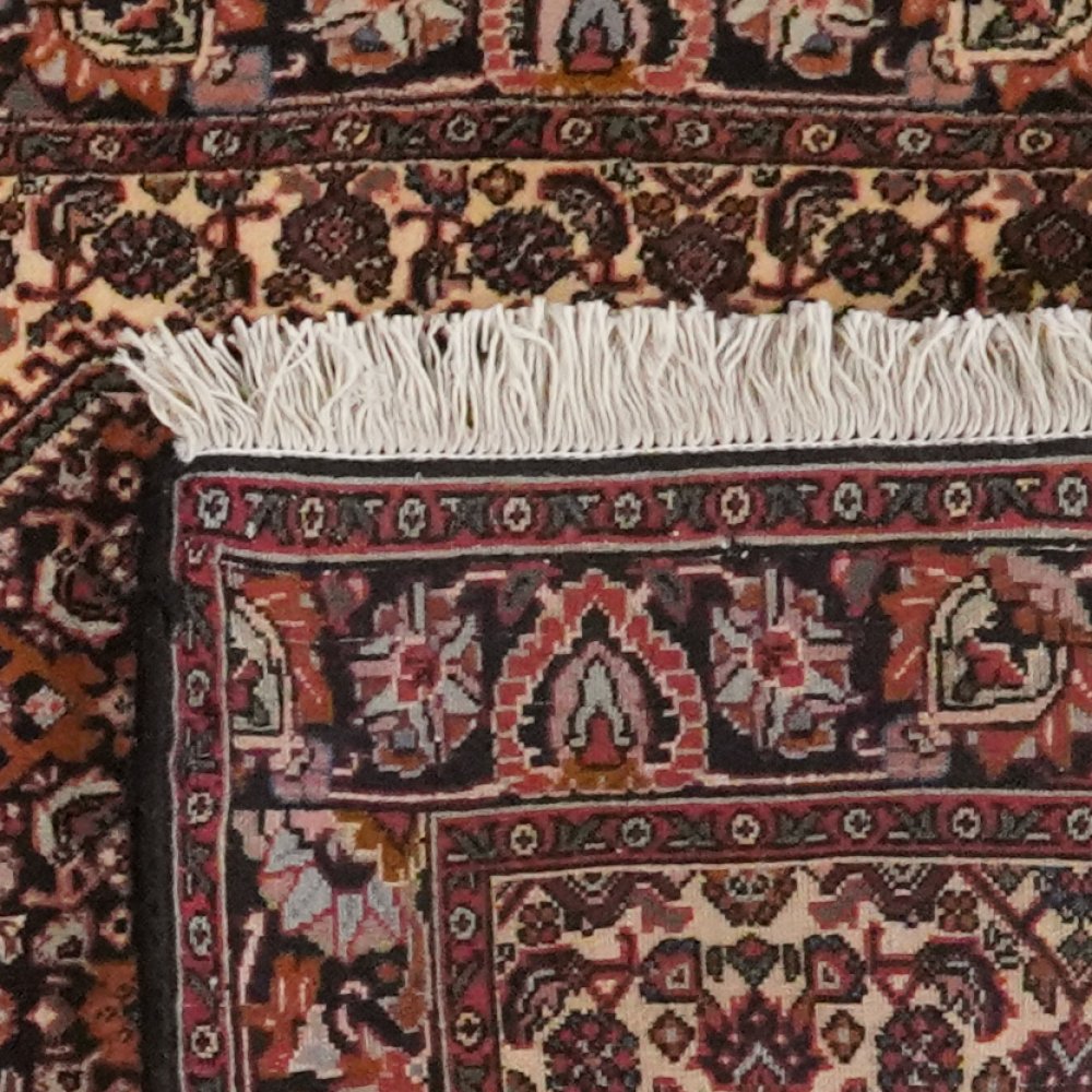 Bidjar Bookan — Hand-knotted, 72x241 cm, Brown, 100% Virgin Wool | View 6